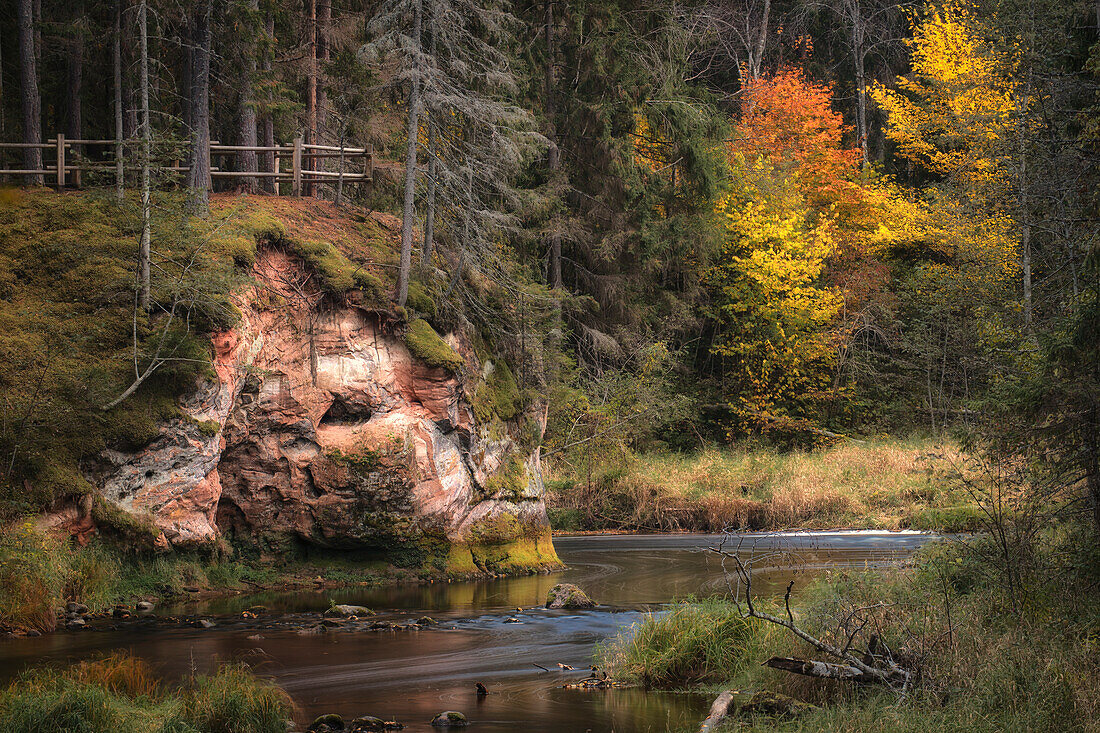 Fluss Amata im Herbst, Steilufer, Raceni, Baltikum, Lettland.