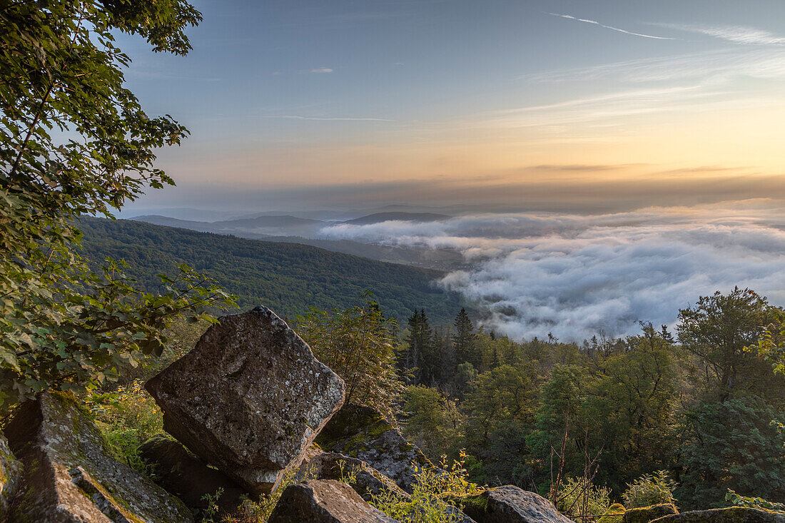 Blick von Berg Kalbe, Hoher Meissner auf Wolkendecke, Wald, Sonnenaufgang. Hessen Deutschland. Felsbrocken im Vordergrund.