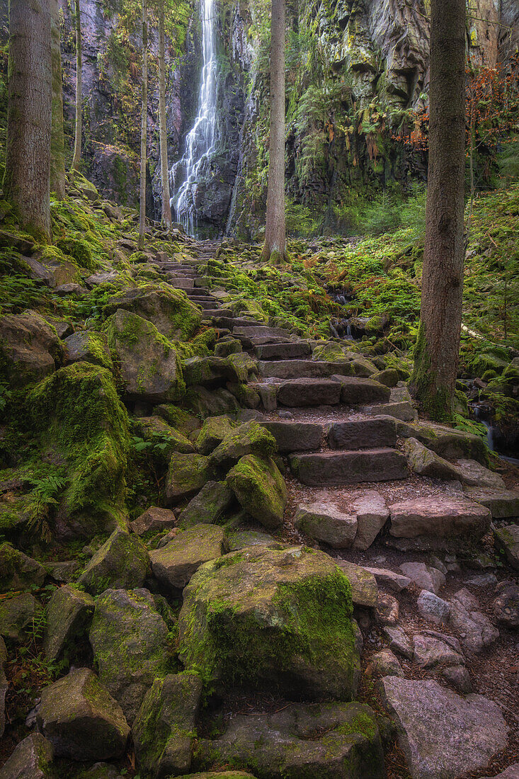 Path with steps to Burgbach waterfall, Bad Rippoldsau-Schapbach, Black Forest, Baden-Würtenberg, Germany. Forest