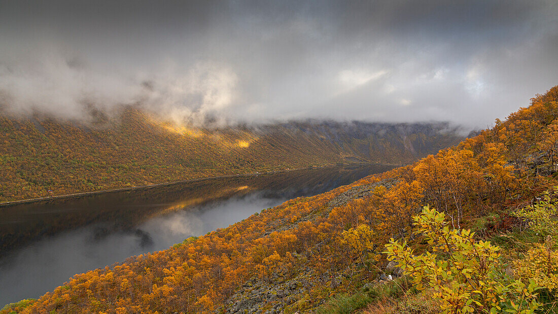 Herbstliche Landschaft und Gryllefjord, Senja, Norwegen. Tiefhängende Wolken.