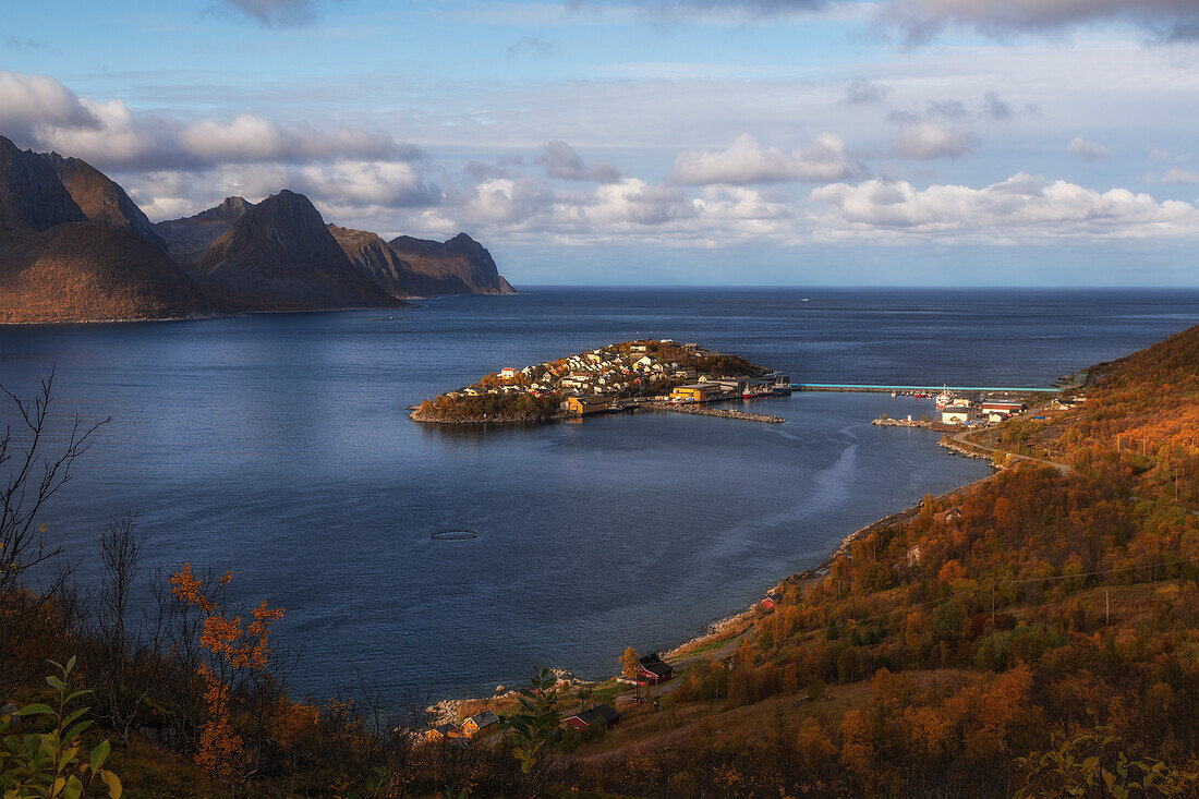 View of Husoy island in fjord, Senja, Norway. fall colors