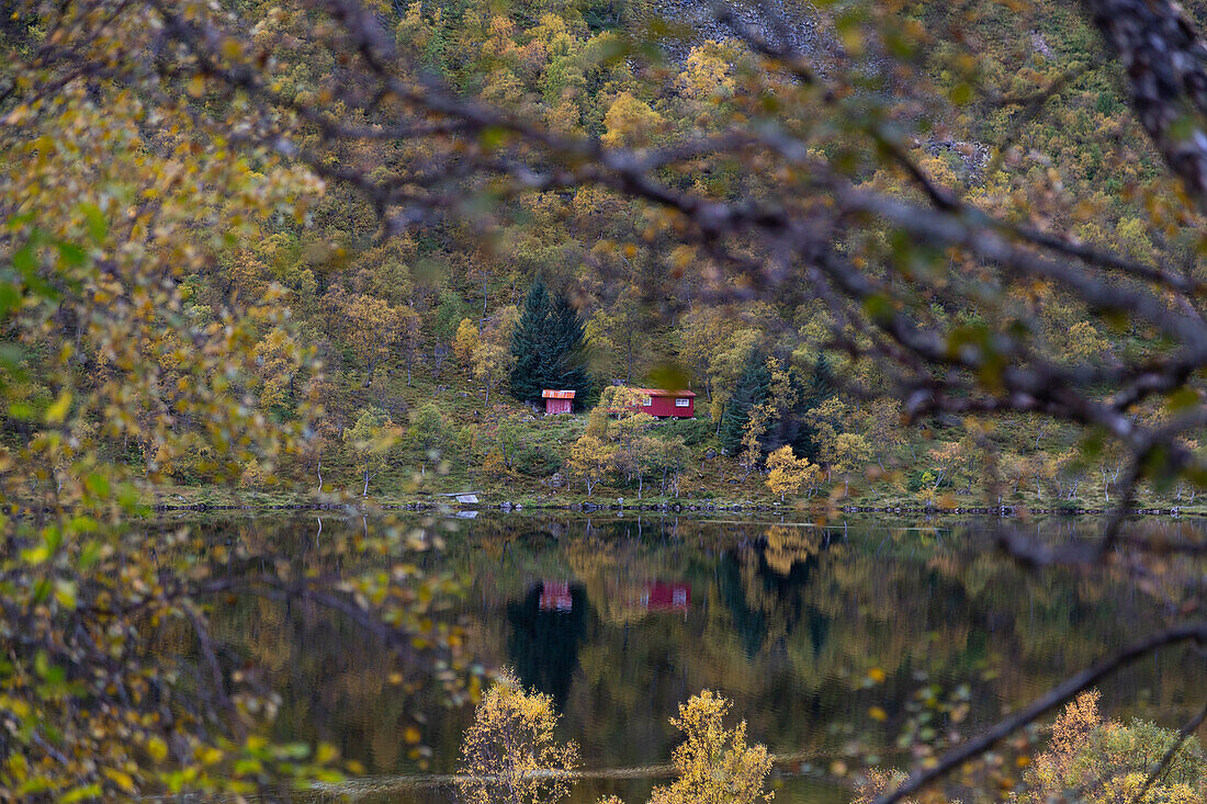 Kleine versteckte rote Hütte hinter herbstlichen Bäumen am See Risevatnet, Langoya, Norwegen.