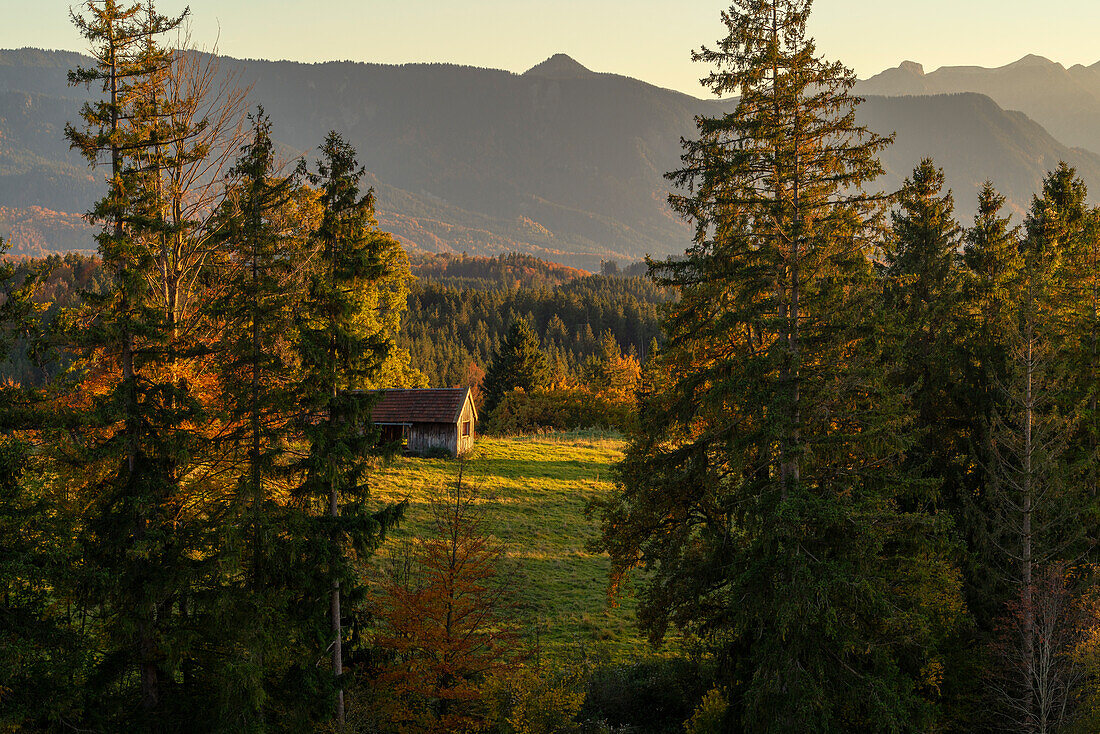 Herrlicher Herbstabend an der Aidlinger Höhe  Aidling, Murnau, Bayern, Deutschland, Europa