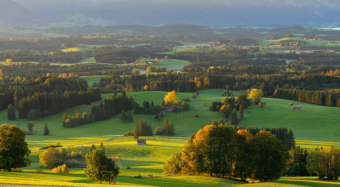 Blick vom Auerberg über das herrliche herbstliche Voralpenland auf die Allgäuer Alpen, Bayern, Deutschland, Europa