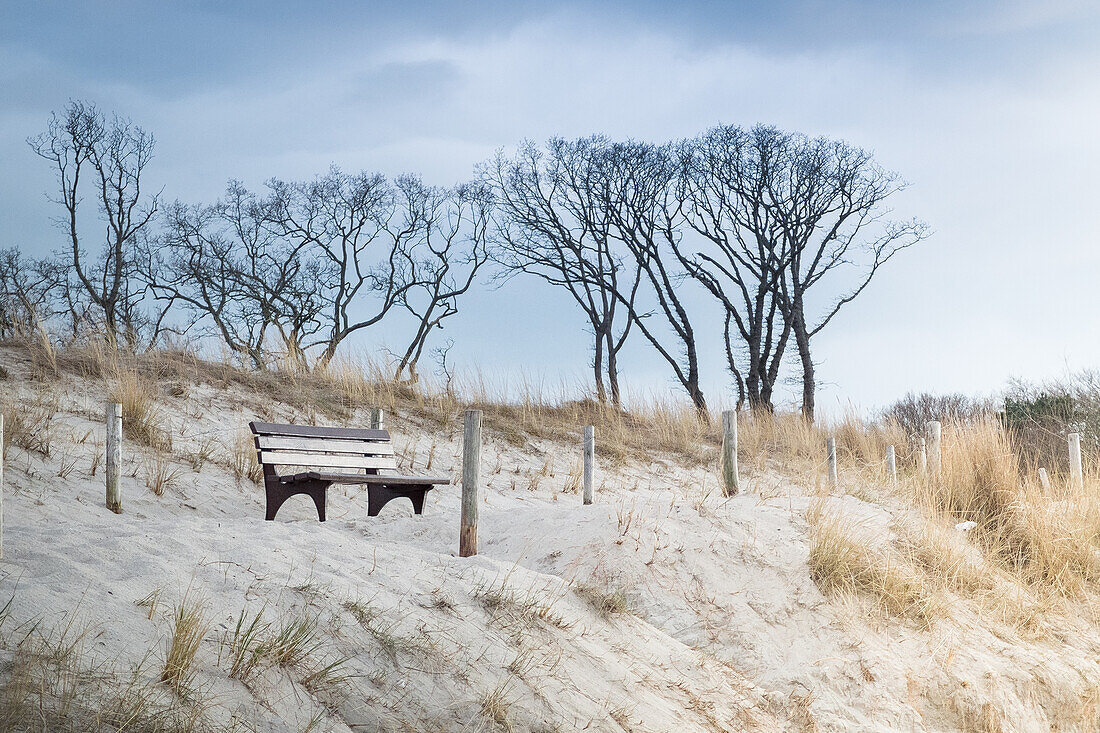 Bench at Ostseestrand, Mecklenburg Vorpommern, Germany