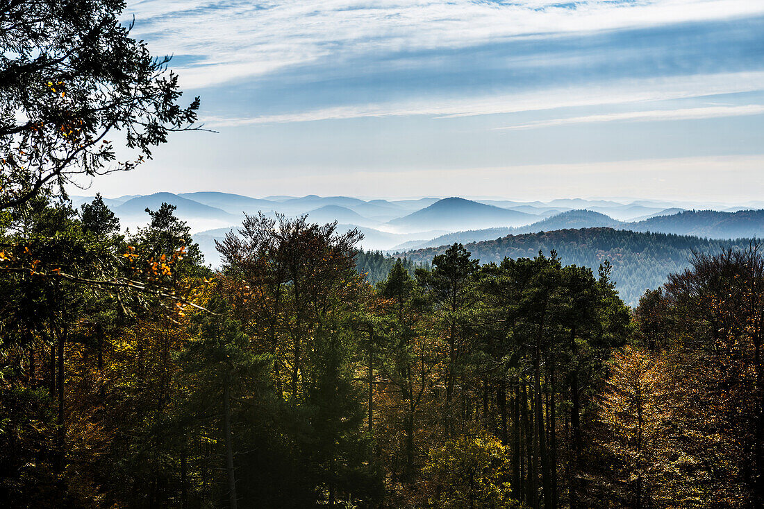 Herbstlich verfärbter Wald und Berge, Blick vom Rehbergturm, Annweiler, Pfälzer Wald, Rheinland-Pfalz, Deutschland