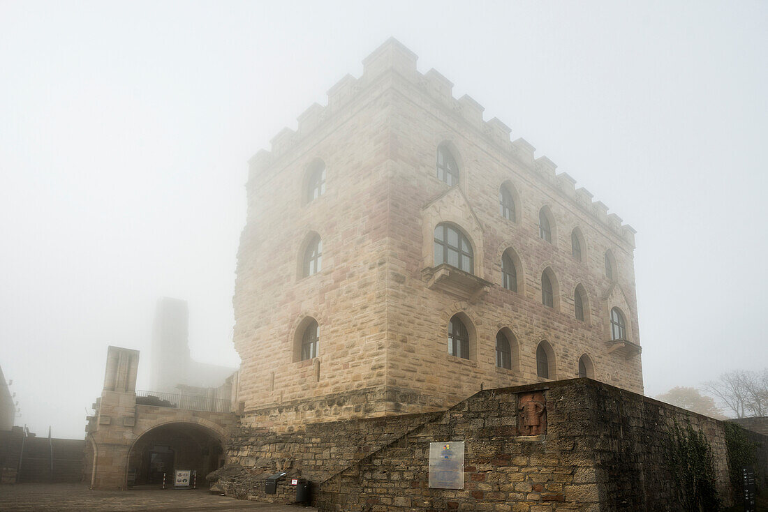 Hambach Castle in the fog, Hambach, Neustadt an der Weinstrasse, Palatinate Forest, Palatinate, Rhineland-Palatinate, Germany