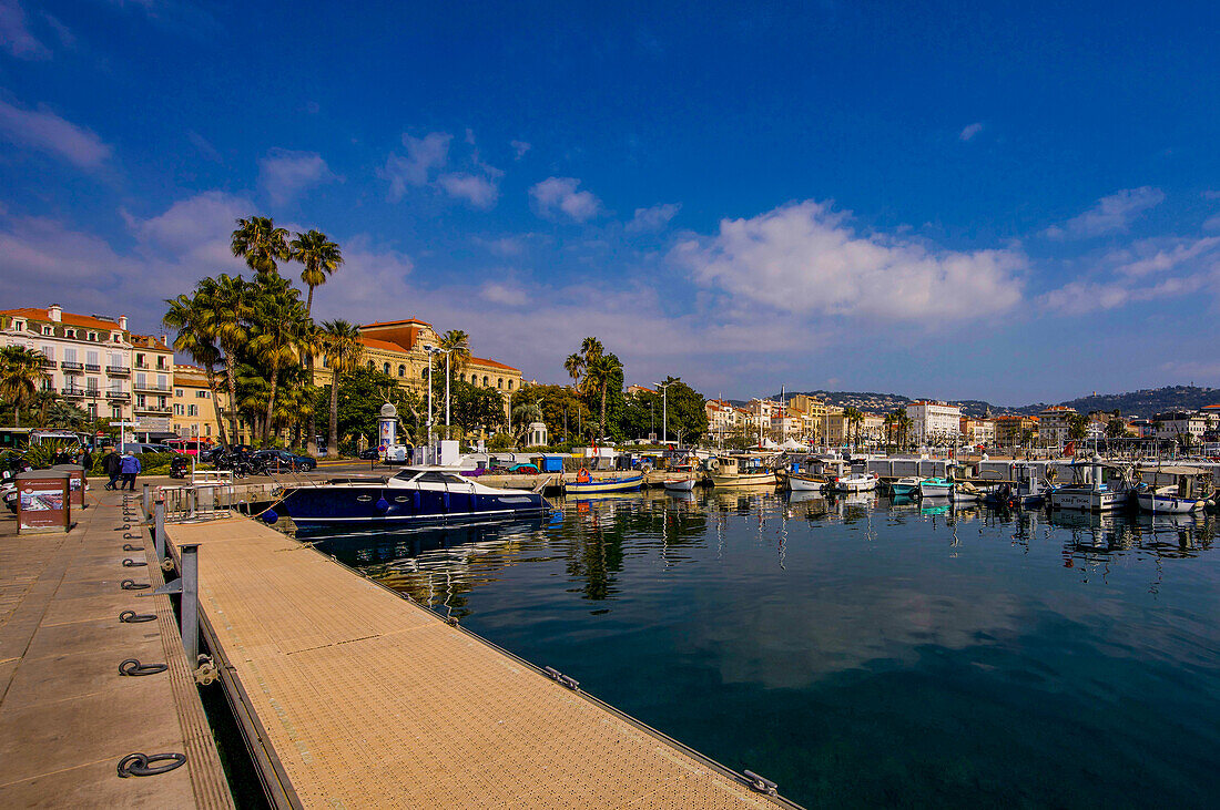 Quai Saint-Pierre and the marina in Cannes, Alpes-Maritimes department, France