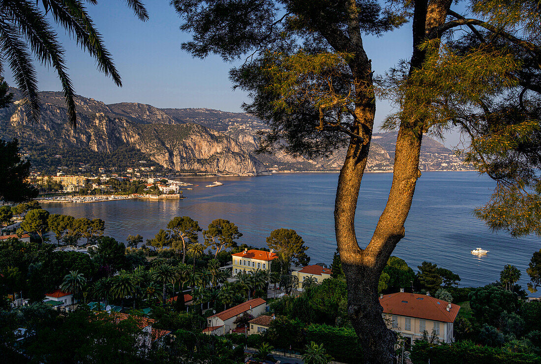 View from Cap Ferrat on Beaulieu-sur-Mer, French Riviera, France