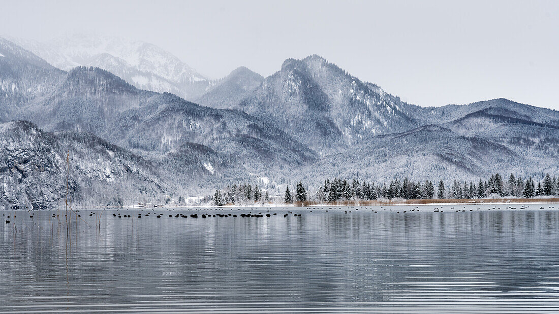 Mountains by the lake, winter in the foothills of the Alps, Bavaria, Germany