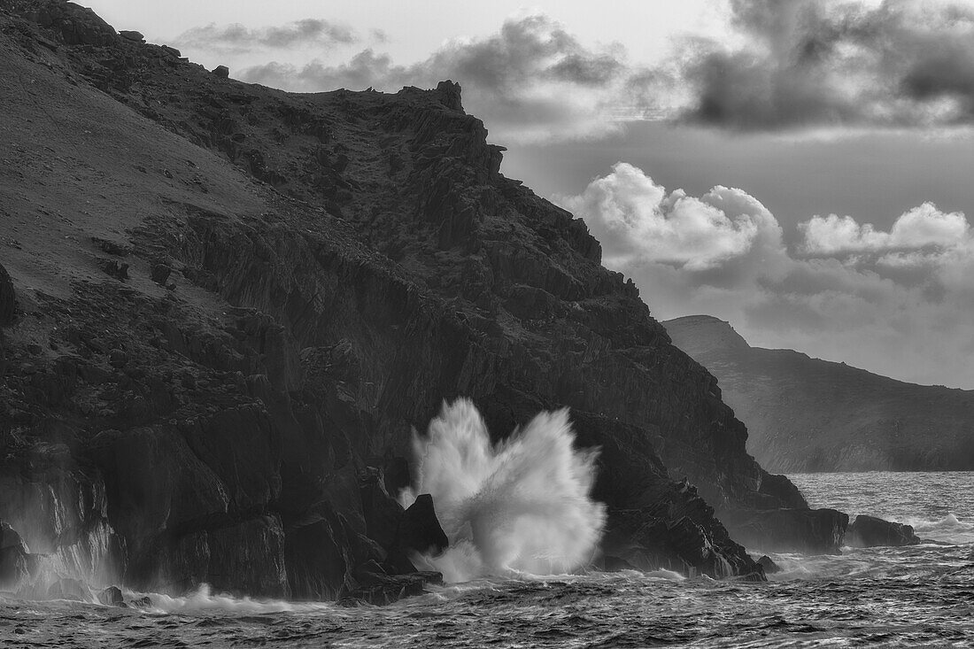 Welle bricht an Steilküste. Graigue, Dunulin, County Kerry, Irland.