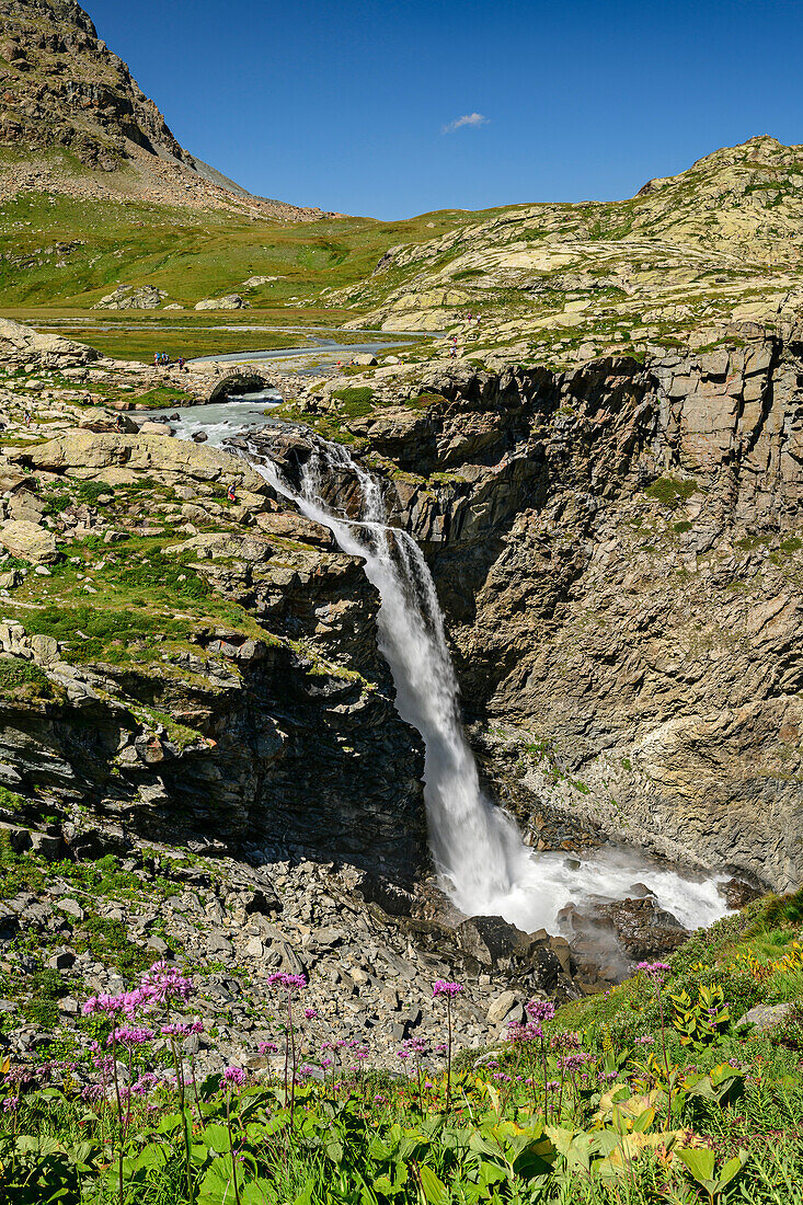 Cascade de la Reculaz waterfall, Vanoise National Park, Vanoise, Savoy, France