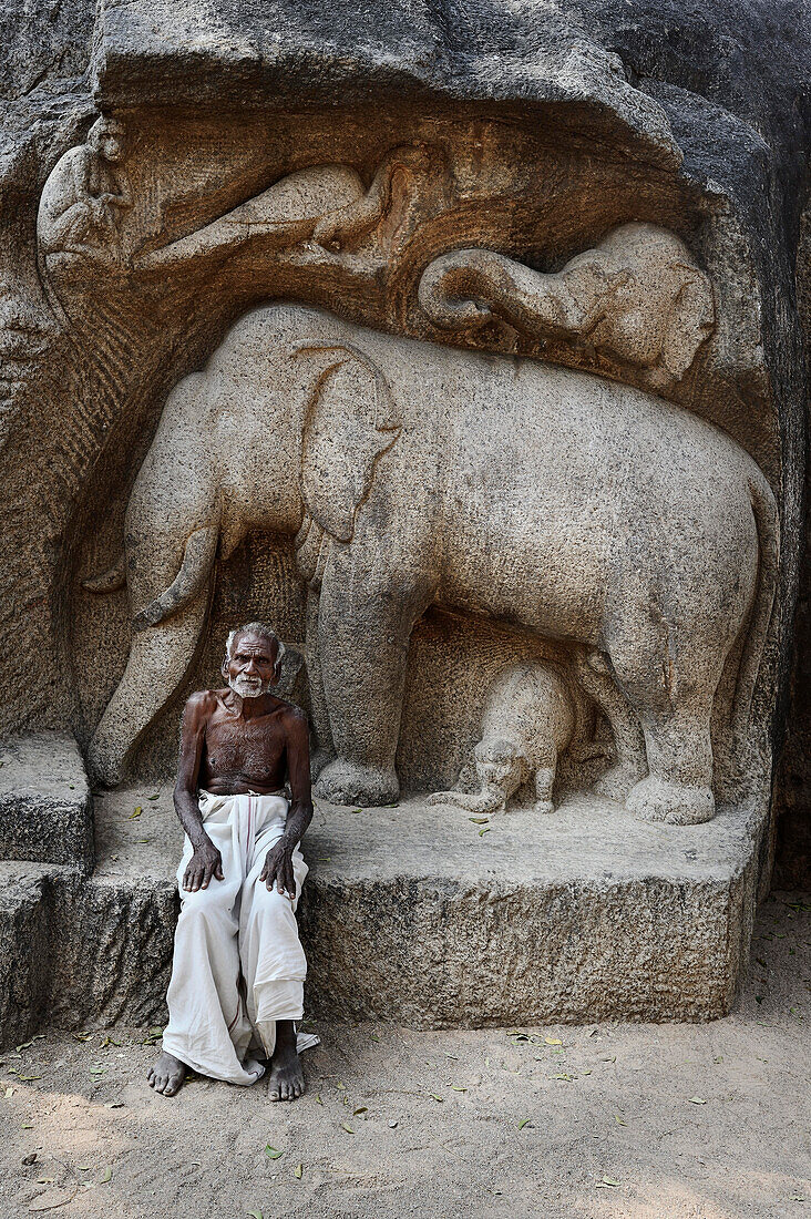 Alter Mann sitzt neben Elefantenschnitzen, Mahabalipuram, Indien