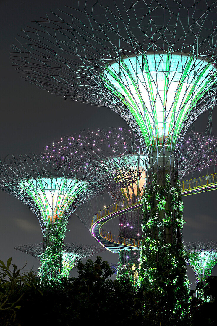 Supertrees, Gardens by the Bay, Singapore,