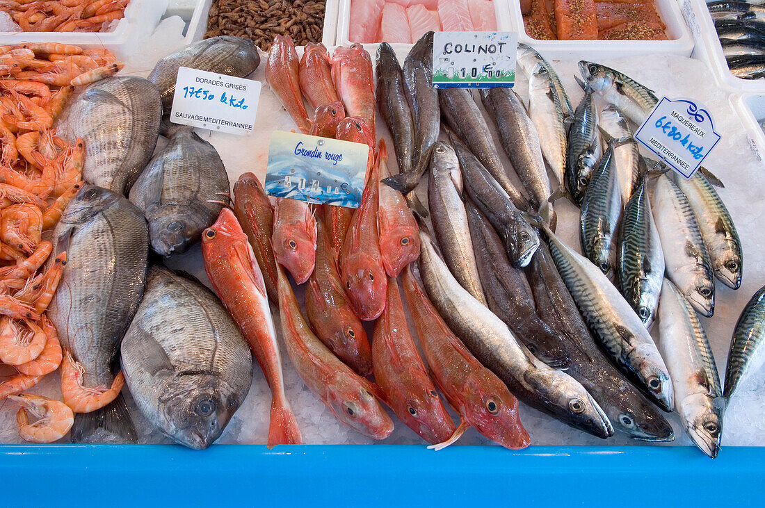Eine Auswahl an frischem Fisch und Garnelen auf dem Fischmarkt von Sanary-sur-Mer, südlich von Fra