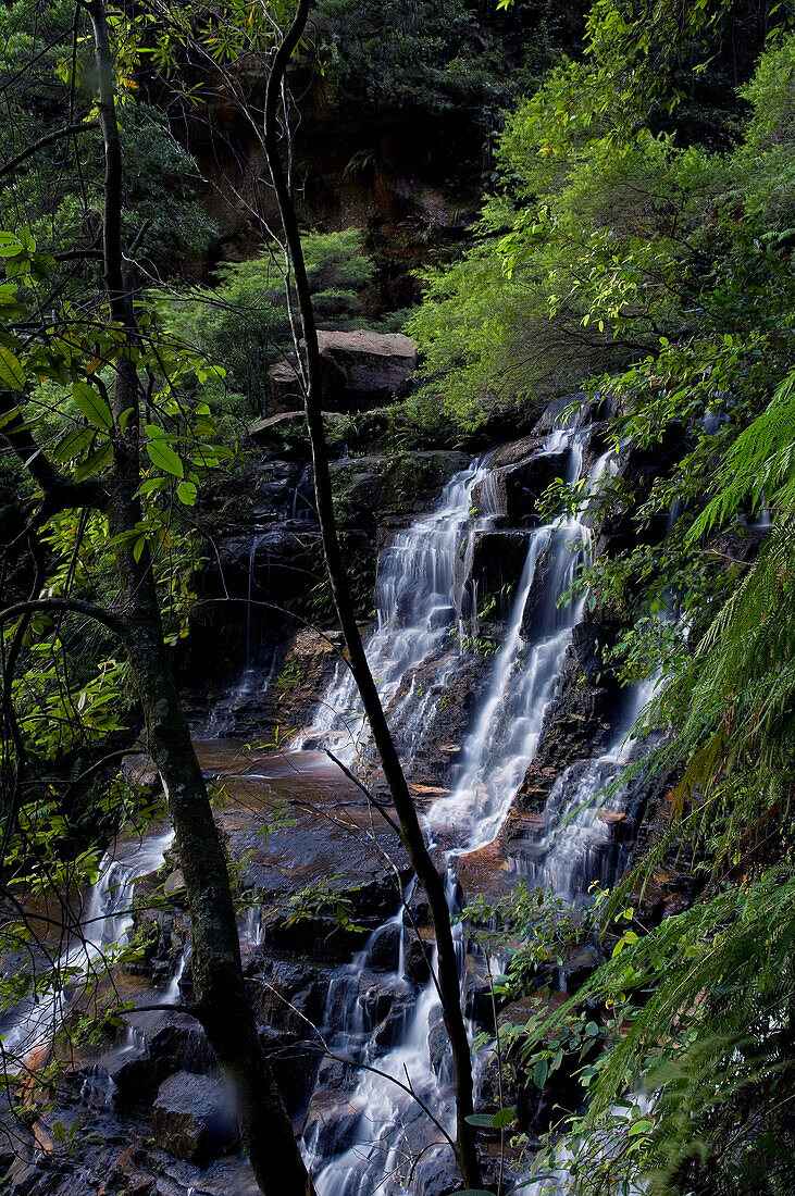 Lodore Falls; Valley of the Waters, Blue Mountains; NSW; Australia