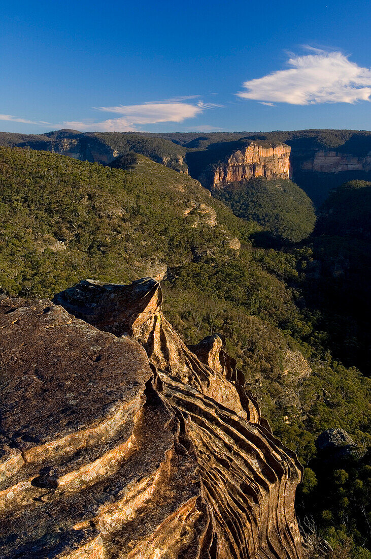 Ironstone rocks, Grose Valley, Blue Mountains National Park, NSW, Australia
