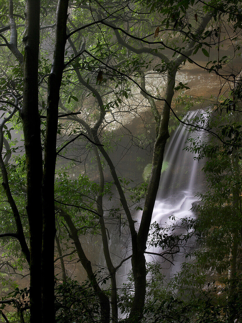 Empress Falls, Tal der Wasser, Blue Mountains; NSW; Australien