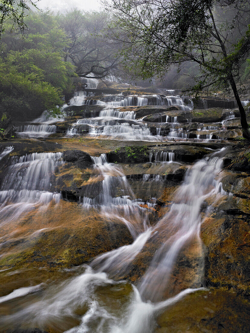 Leura Cascades, Blue Mountains, NSW, Australia