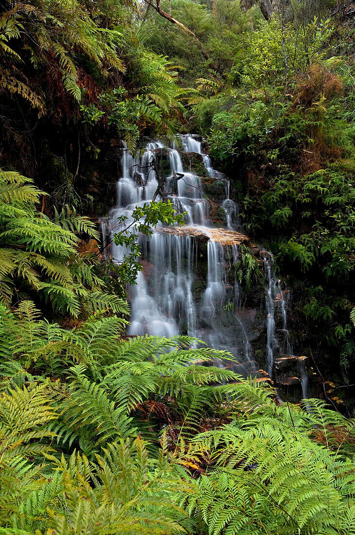 Queen???s Cascade, Wentworth Falls, Blue Mountains,NSW, Australia