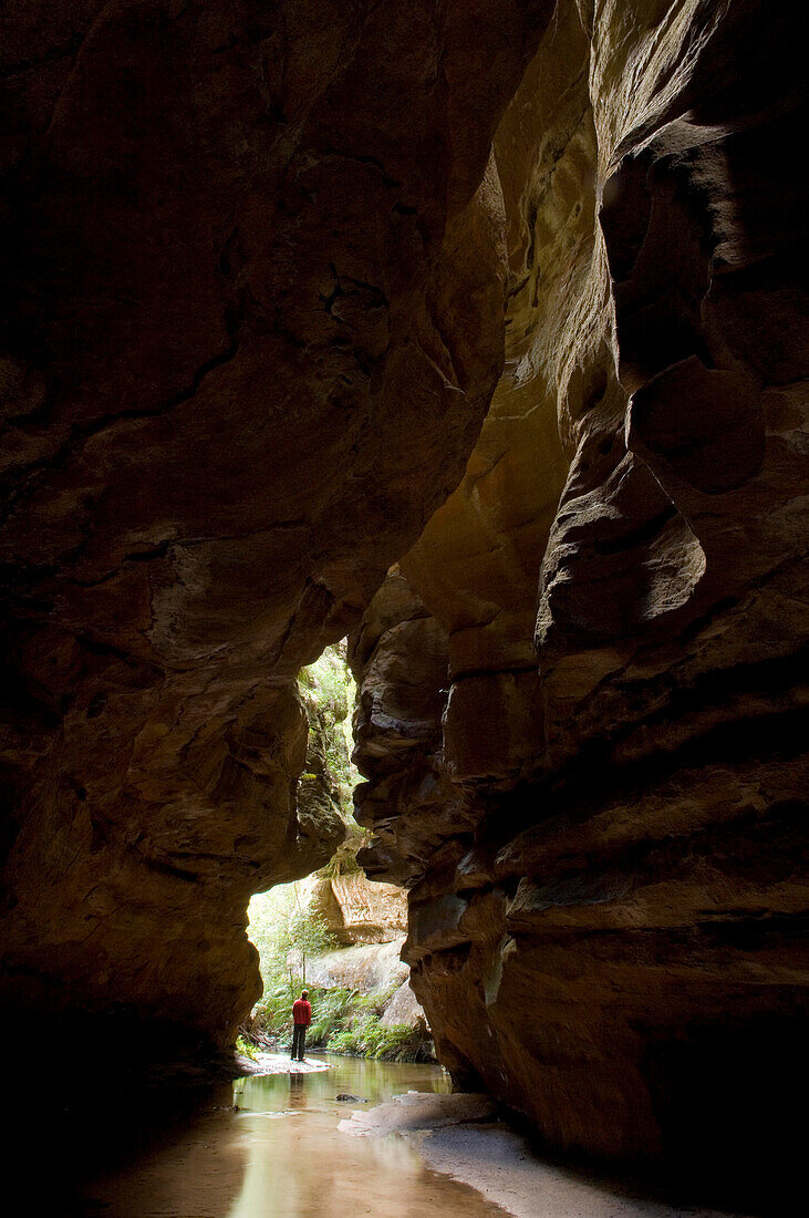 Rock River Canyon, Blue Mountains National Park, NSW, Australia