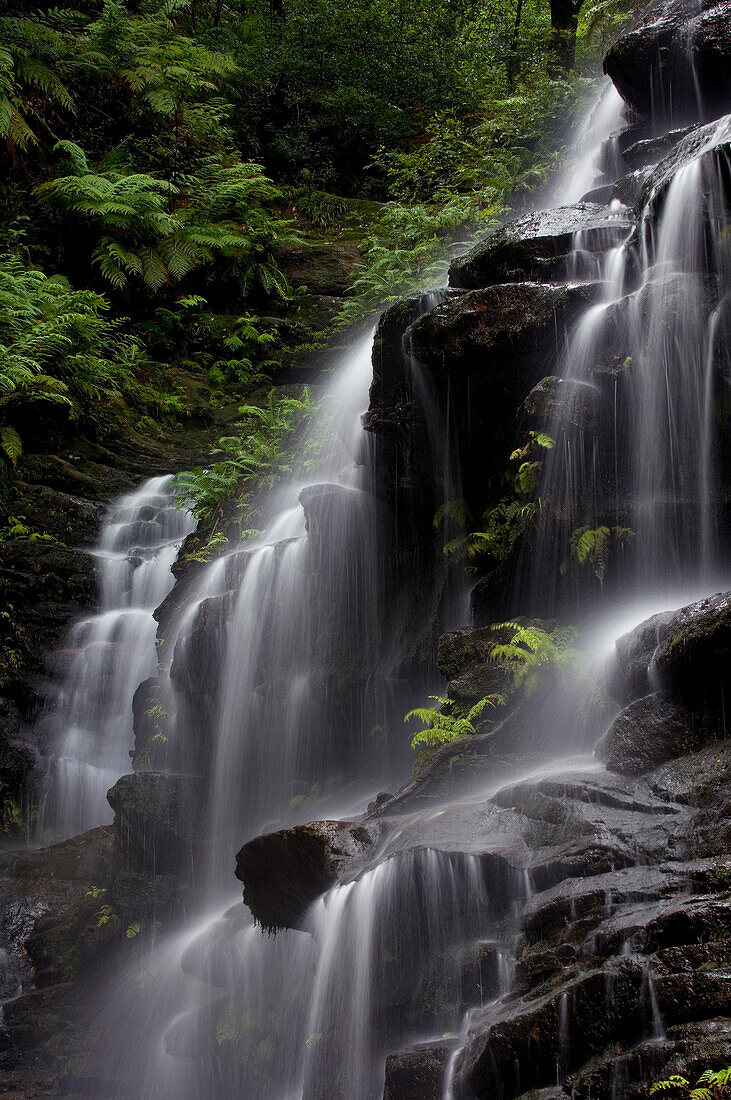 Sylvia Falls, Valley of the Waters, Blue Mountains, NSW, Australia