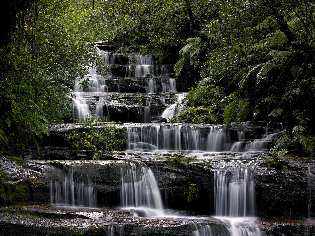Terrace Falls, Lawson, Blue Mountains, NSW, Australien