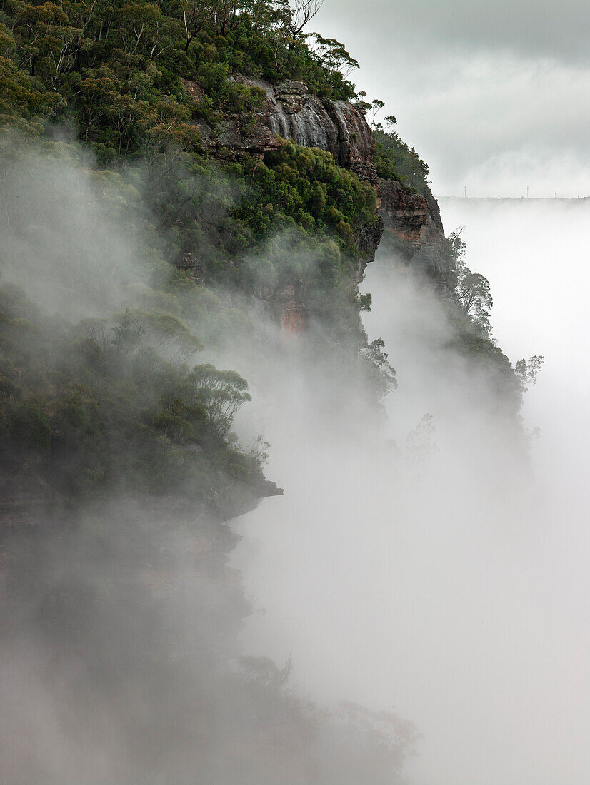 Tal der Gewässer, Blue Mountains, NSW, Australien
