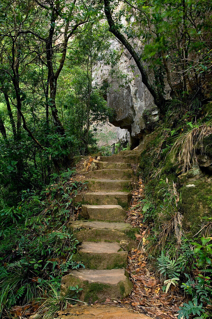 National Pass heritage walk, Blue Mountains, NSW, Australia