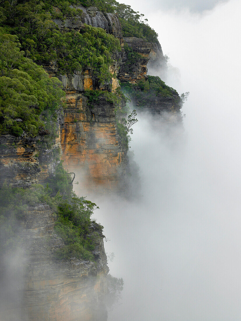Tal der Gewässer, Blue Mountains, NSW, Australien