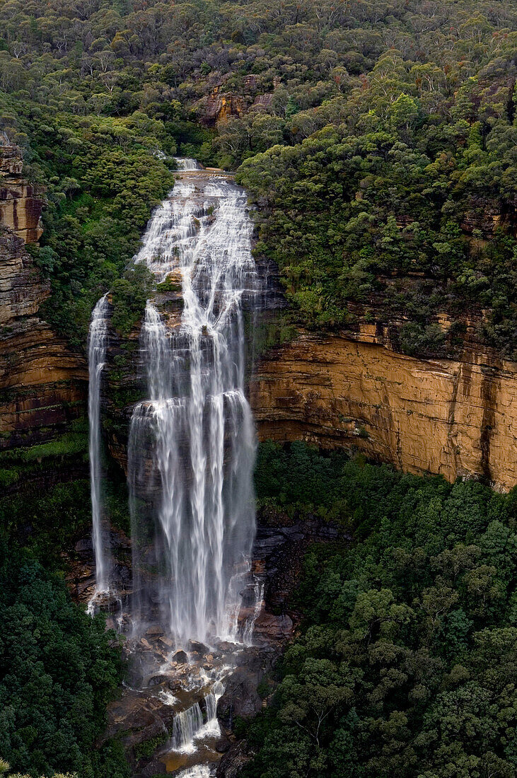Wentworth Falls, Blue Mountains, NSW, Australien