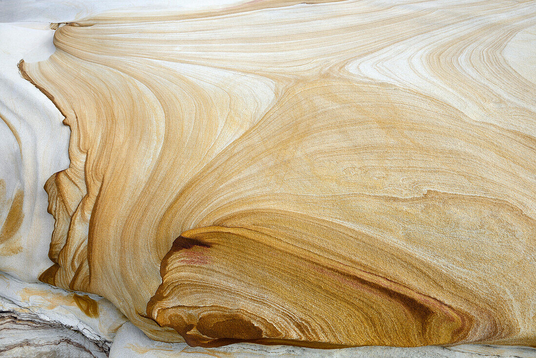 Royal National Park sandstone patterns, NSW, Australia