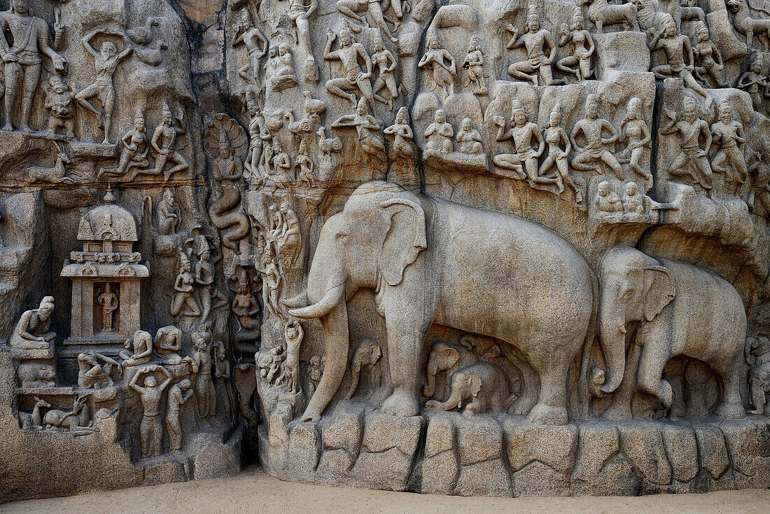 Mahabalipuram 7. Jahrhundert Elefantenschnitzerei, Indien