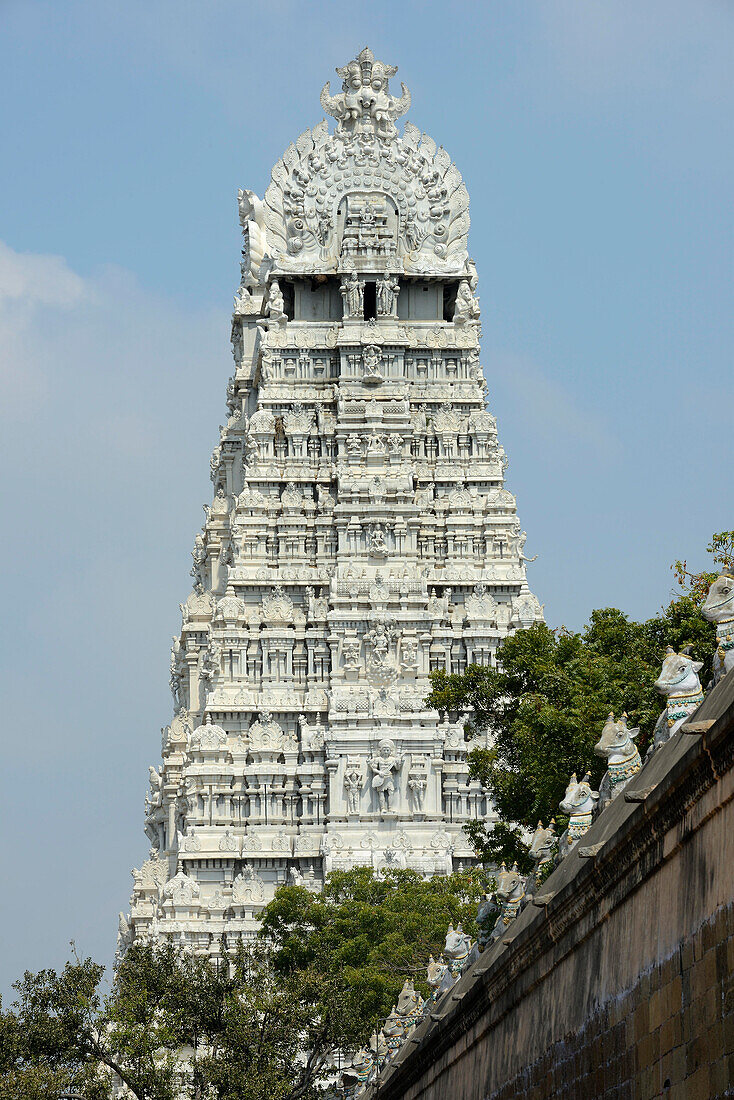 Arulmigu Arunachaleswarar Temple, Thiruvannamalai, Tamil Nadu, India