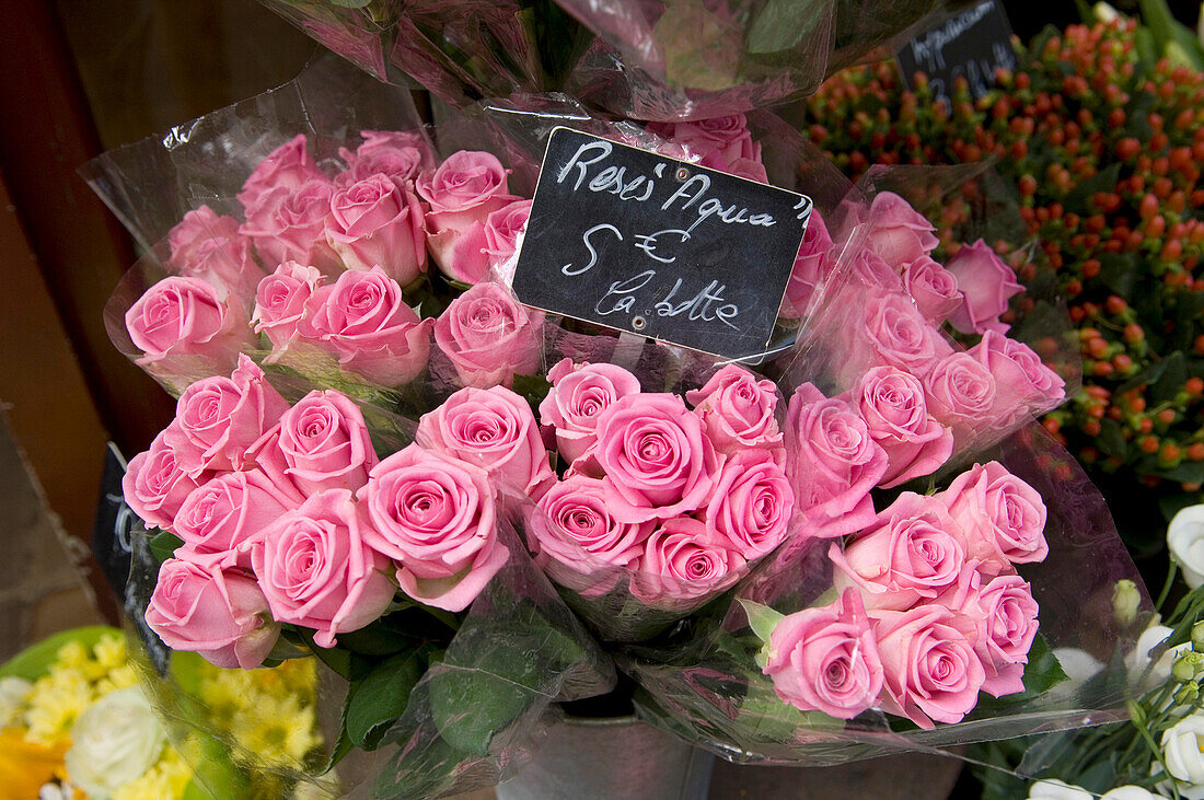 Pink roses at a streetstall with a euro pricetag, Ile de France, Paris, France