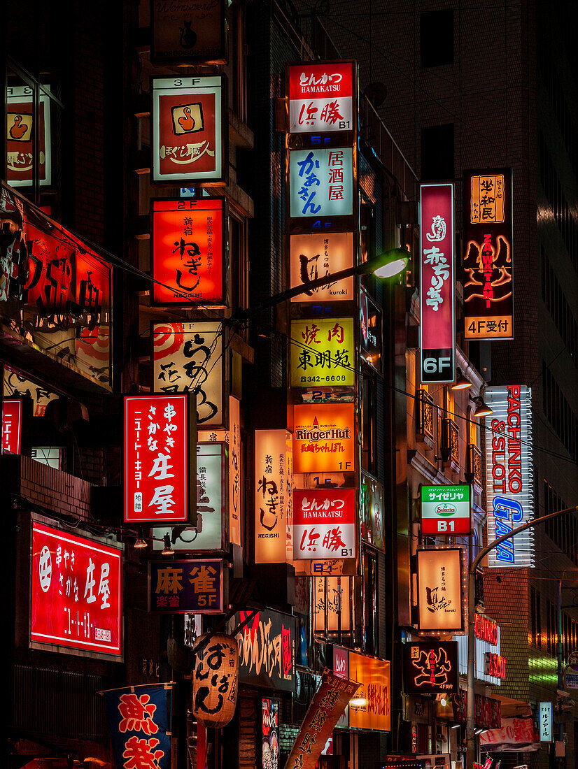 Shinjuku Neon, Tokio, Japan