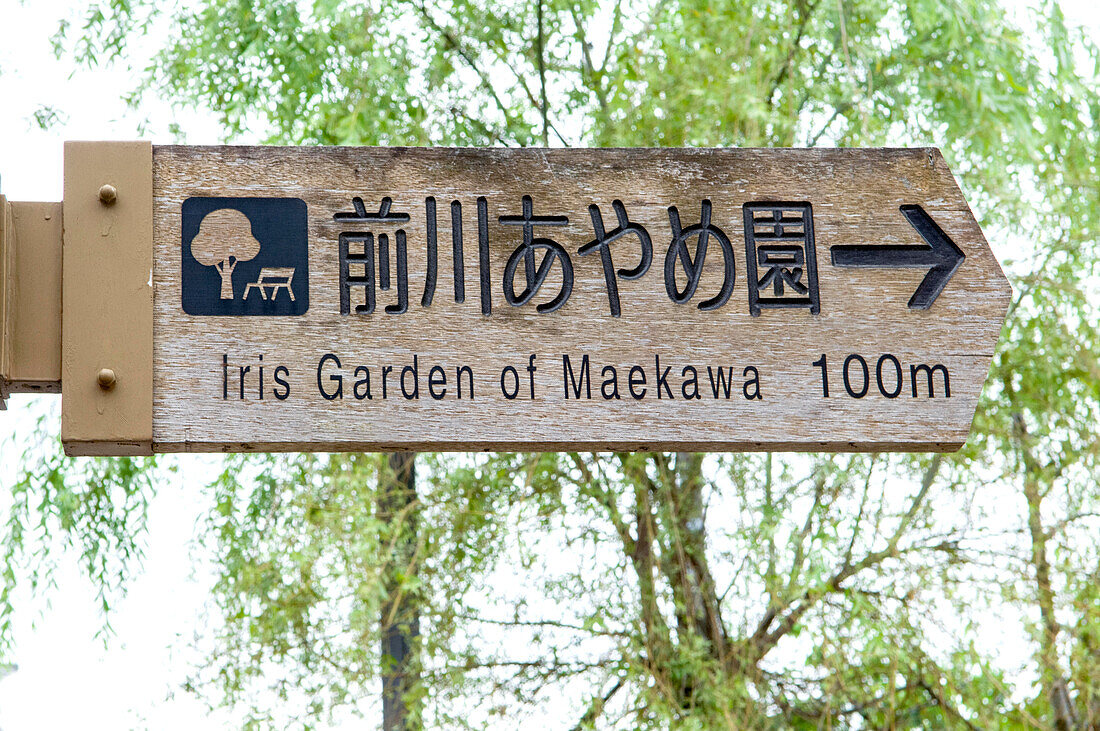 Maekawa-Iris-Festival, Japan