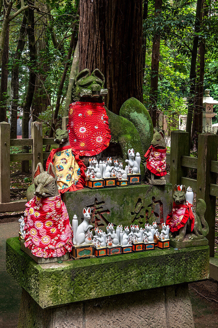 Kitsune-Fuchsgottheiten, Kashima-Jingu-Wald, Kashima, Japan