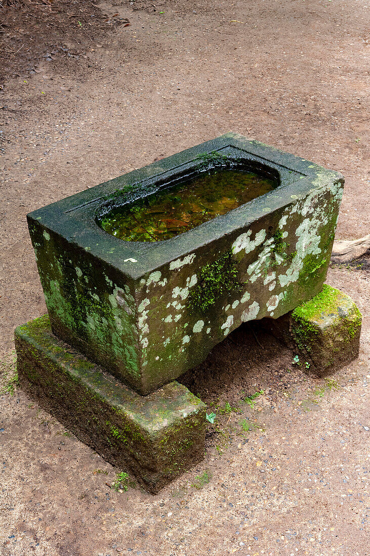 Steinwassertrog, Kashima-Jingu-Wald, Japan