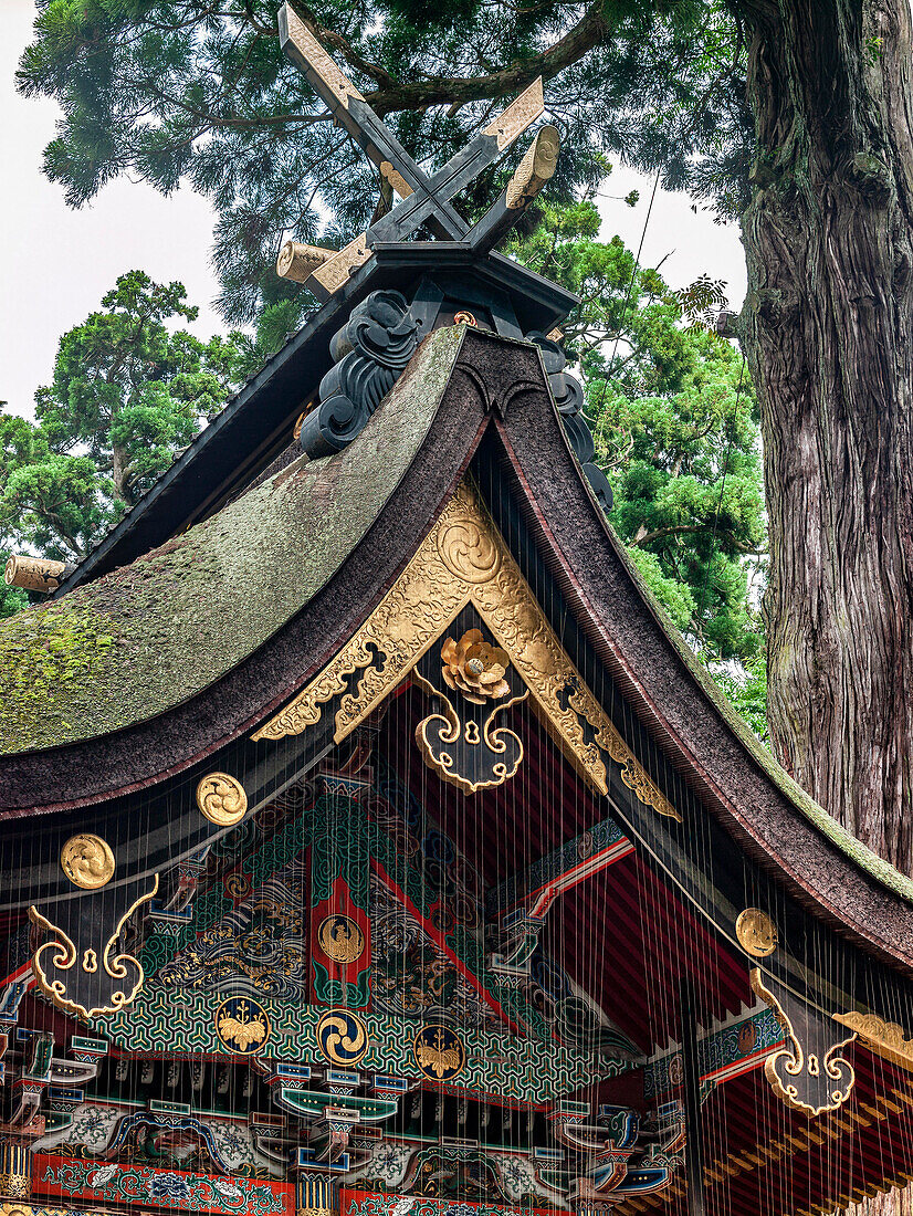 Kashima Jingu Main Shinto Shrine, Kashima, Japan,The composition of a Shinto