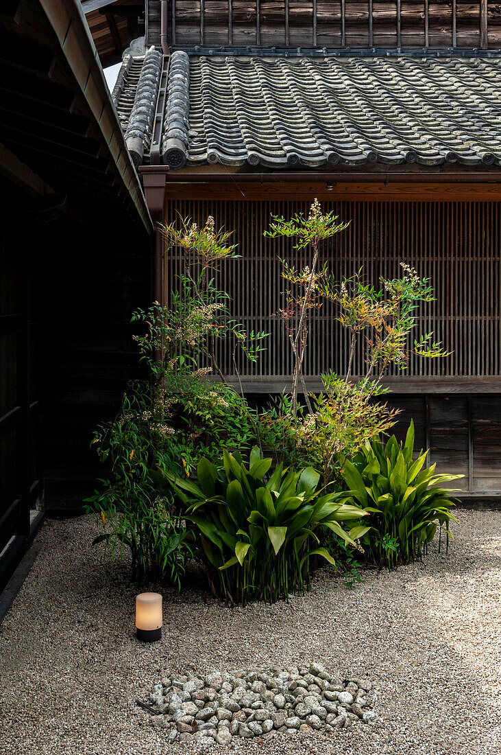 Courtyard plants, Sawara, Japan