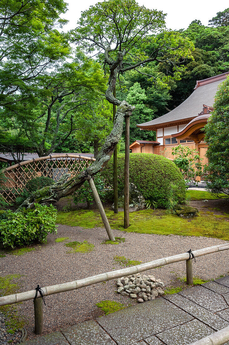 Gärten des Choshouji-Tempels, Itako, Iberaki, Japan