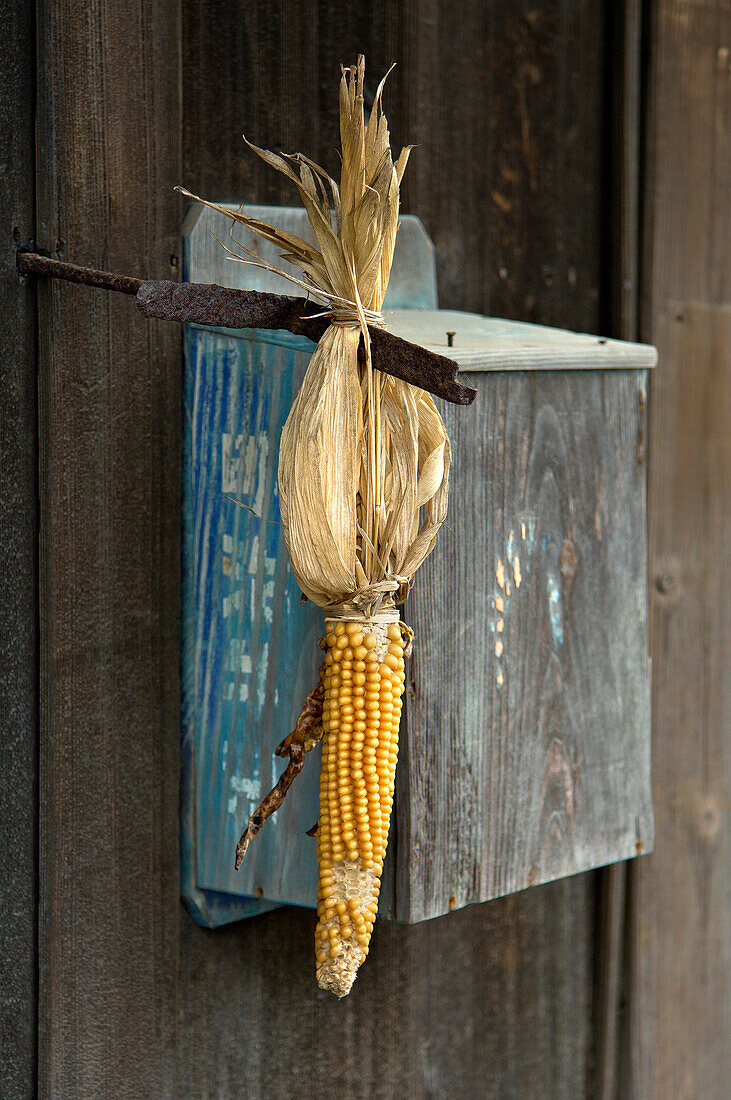 Corn, and postbox, Sawara, Japan,