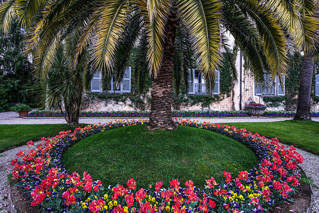 Blumenbeet am Palazzo Madre auf der Isola Madre, Stresa; Lago Maggiore; Borromäische Inseln; Piemont; Italien