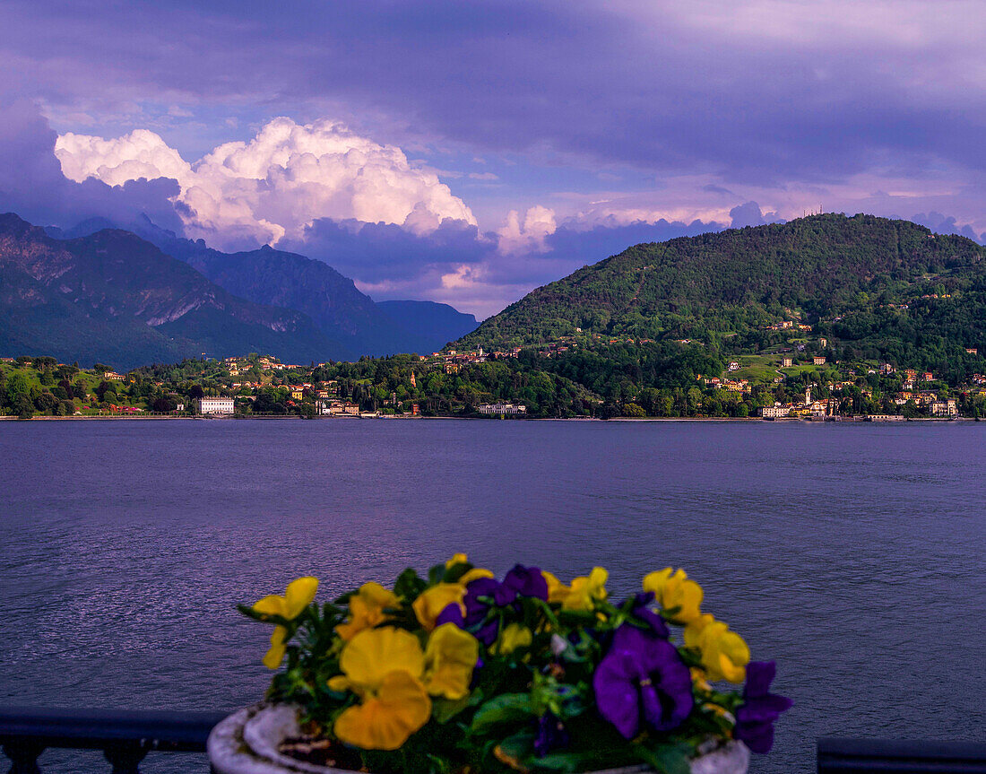 Blick von der Uferpromenade in Cadenabbia auf den Comer See und die Halbinsel von Bellagio, Provinz Como, Lombardei, Italien