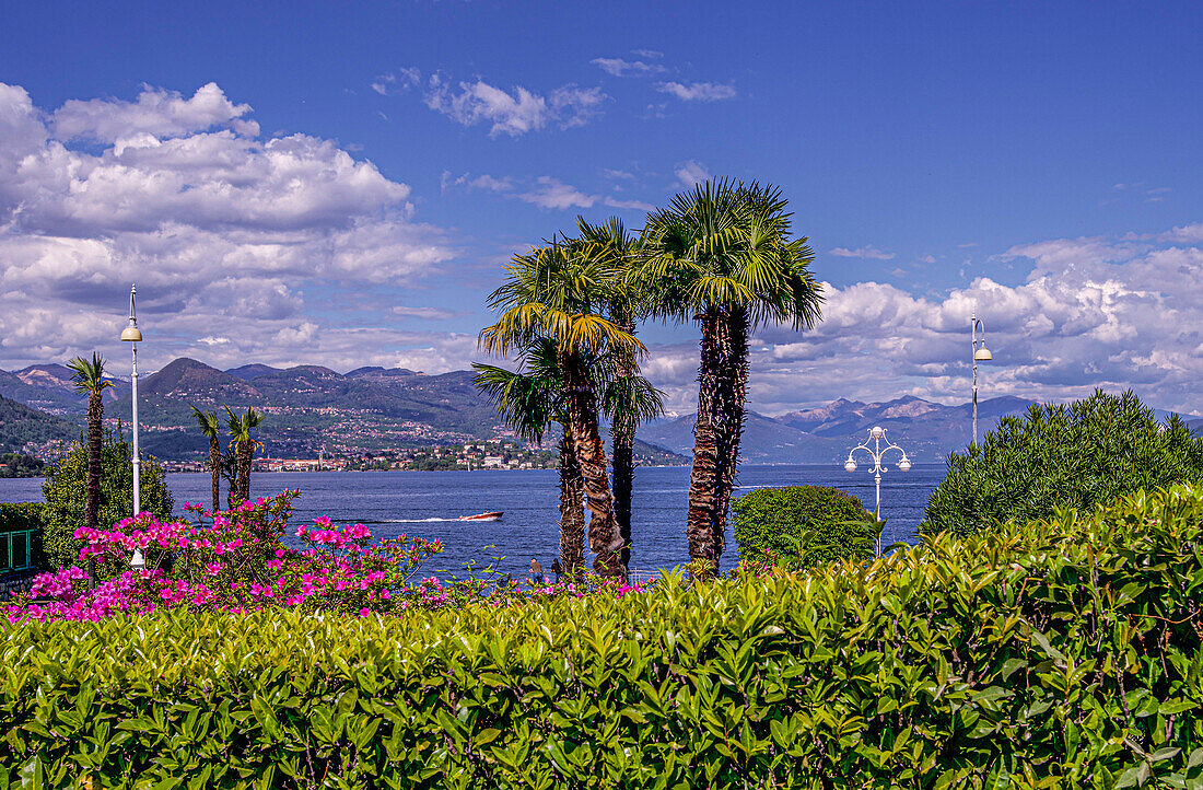 On the promenade of Lake Maggiore in Stresa overlooking the lake and the Alps, Stresa, Piedmont, Italy