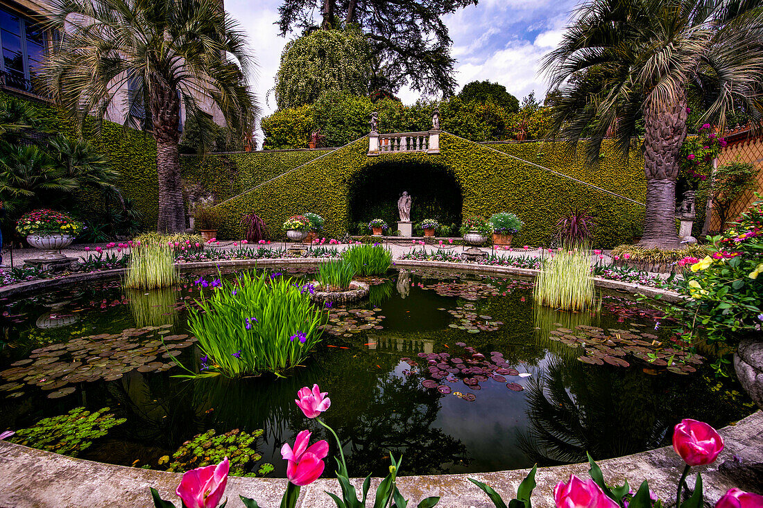 Lily pond at Palazzo Madre on Isola Madre, Borromean Islands, Italy