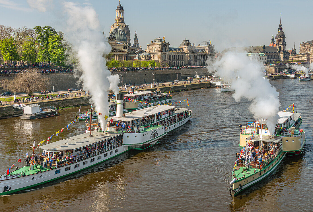 Dampfschiffe auf der Elbe während der jährlichen Flottenparade in Dresden, Sachsen, Deutschland 