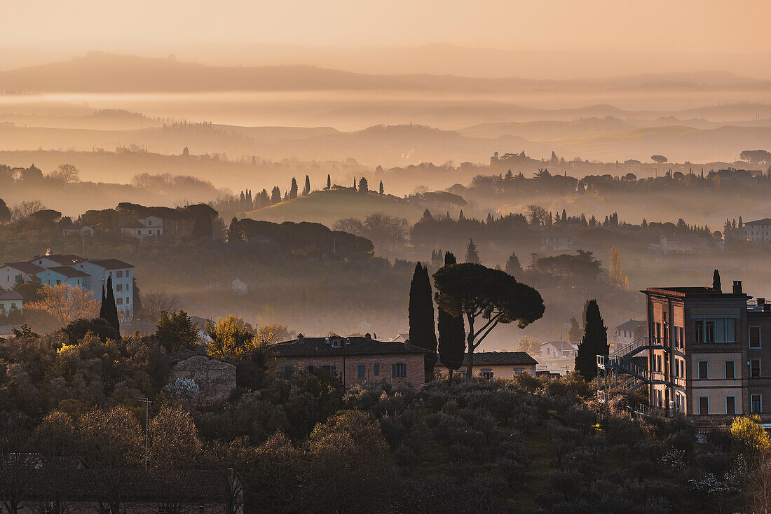 Vom kleinem Park Orto Dei Tolomei gibt es schönen Blick auf Altstadt und Landschaft der Ebene, Siena, Toskana, Italien, Europa