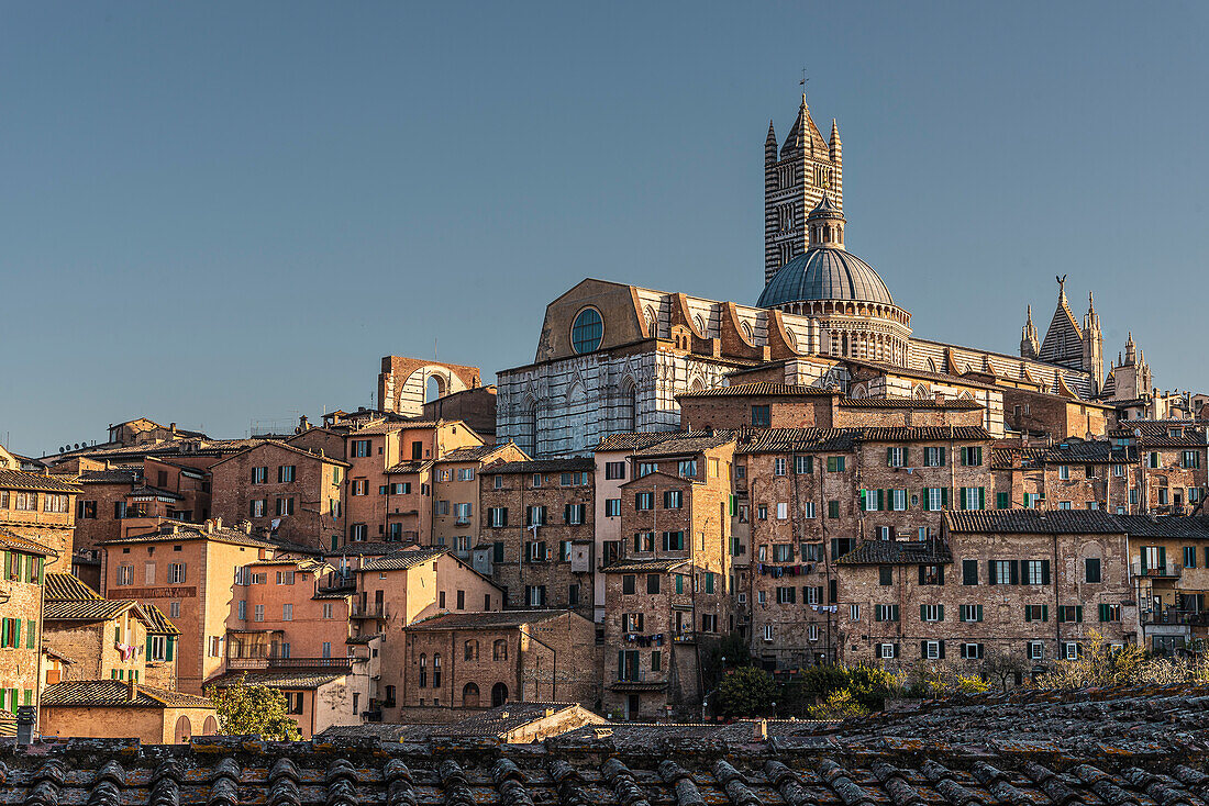 Panorama of the old town and Cathedral of Santa Maria Assunta, Siena, Tuscany, Italy, Europe